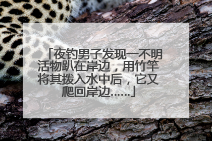 夜钓男子发现一不明活物趴在岸边，用竹竿将其拨入水中后，它又爬回岸边……