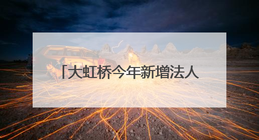 大虹桥今年新增法人企业数同比增20.6%！“走进虹桥 走进进博”活动举办