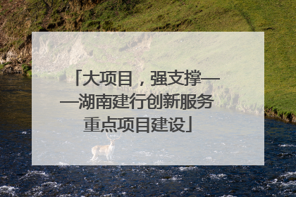 大项目，强支撑——湖南建行创新服务重点项目建设
