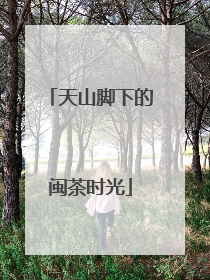 天山脚下的闽茶时光