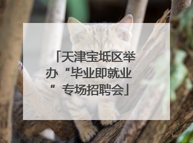 天津宝坻区举办“毕业即就业”专场招聘会