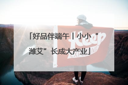 好品伴端午丨小小“潍艾”长成大产业
