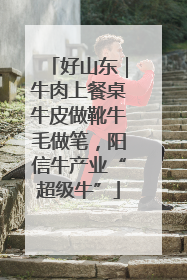 好山东｜牛肉上餐桌牛皮做靴牛毛做笔，阳信牛产业“超级牛”