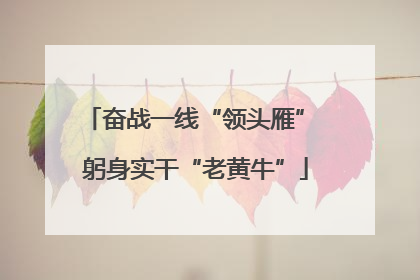 奋战一线“领头雁” 躬身实干“老黄牛”