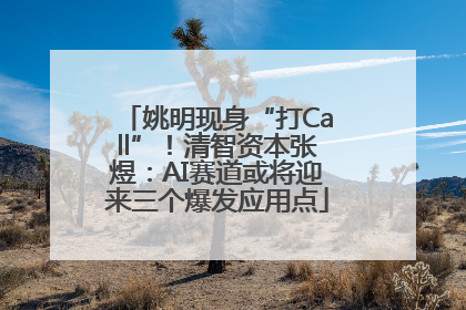 姚明现身“打Call”！清智资本张煜：AI赛道或将迎来三个爆发应用点