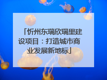 忻州东瑞欣瑞里建设项目：打造城市商业发展新地标