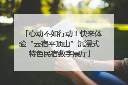 心动不如行动！快来体验“云宿平顶山”沉浸式特色民宿数字展厅