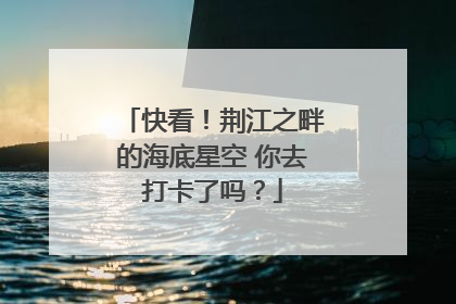 快看！荆江之畔的海底星空 你去打卡了吗？