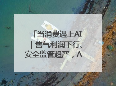 当消费遇上AI｜售气利润下行、安全监管趋严，AI浪潮下城燃企业如何破局
