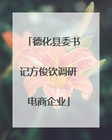 德化县委书记方俊钦调研电商企业