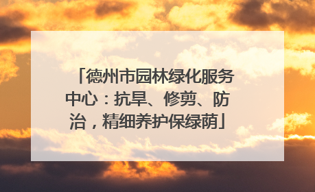 德州市园林绿化服务中心：抗旱、修剪、防治，精细养护保绿荫