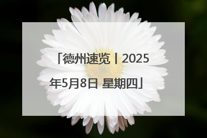 德州速览丨2025年5月8日 星期四