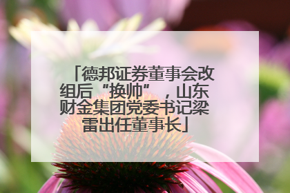 德邦证券董事会改组后“换帅”，山东财金集团党委书记梁雷出任董事长