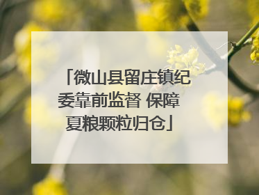 微山县留庄镇纪委靠前监督 保障夏粮颗粒归仓