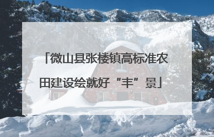 微山县张楼镇高标准农田建设绘就好“丰”景