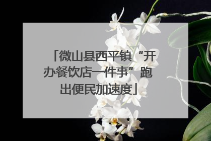 微山县西平镇“开办餐饮店一件事”跑出便民加速度