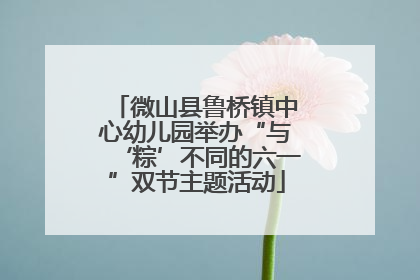 微山县鲁桥镇中心幼儿园举办“与‘粽’不同的六一”双节主题活动