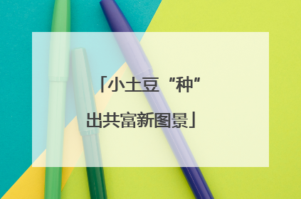 小土豆“种”出共富新图景