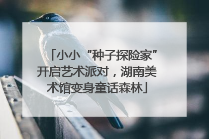 小小“种子探险家”开启艺术派对，湖南美术馆变身童话森林