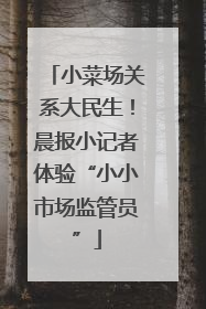 小菜场关系大民生！晨报小记者体验“小小市场监管员”