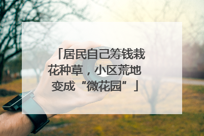居民自己筹钱栽花种草，小区荒地变成“微花园”