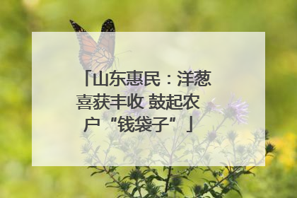 山东惠民：洋葱喜获丰收 鼓起农户“钱袋子”