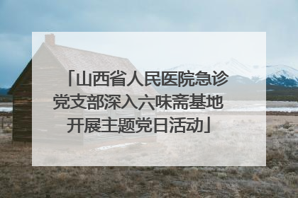 山西省人民医院急诊党支部深入六味斋基地开展主题党日活动