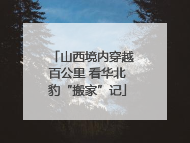 山西境内穿越百公里 看华北豹“搬家”记