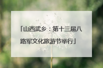 山西武乡：第十三届八路军文化旅游节举行