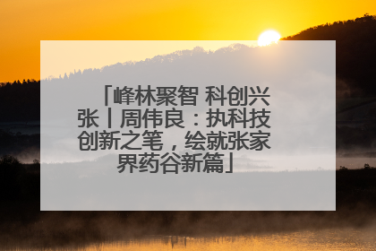 峰林聚智 科创兴张丨周伟良：执科技创新之笔，绘就张家界药谷新篇