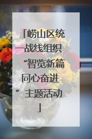 崂山区统一战线组织“智览新篇 同心奋进”主题活动