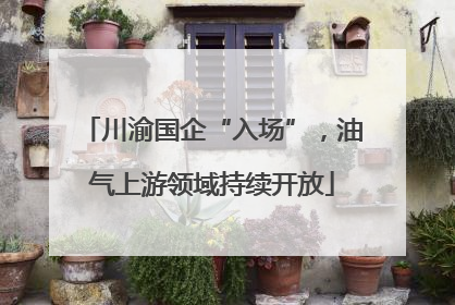 川渝国企“入场”，油气上游领域持续开放