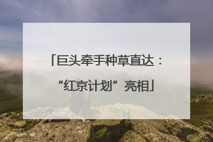 巨头牵手种草直达：“红京计划”亮相