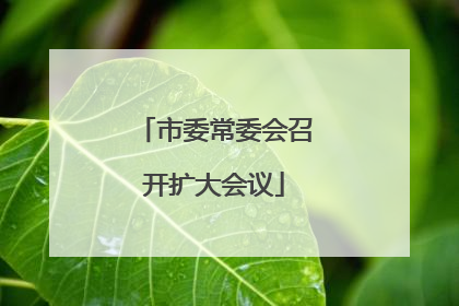 市委常委会召开扩大会议