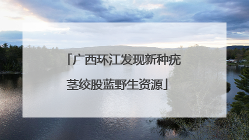 广西环江发现新种疣茎绞股蓝野生资源