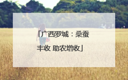 广西罗城：桑蚕丰收 助农增收
