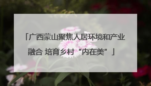 广西蒙山聚焦人居环境和产业融合 培育乡村“内在美”