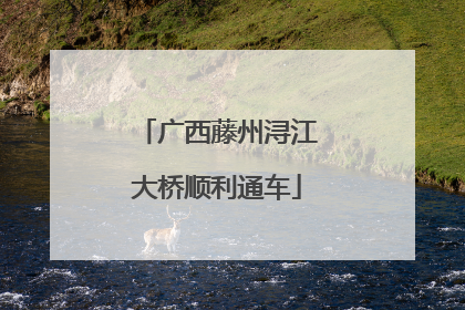 广西藤州浔江大桥顺利通车