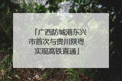广西防城港东兴市首次与贵川陕粤实现高铁直通