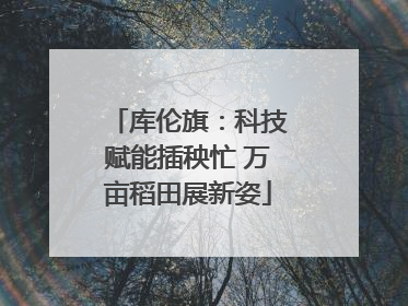 库伦旗：科技赋能插秧忙 万亩稻田展新姿