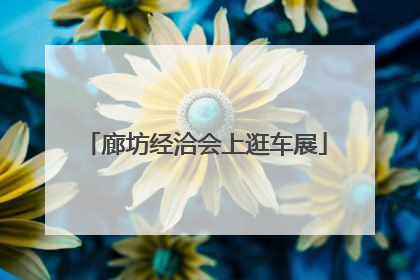 廊坊经洽会上逛车展