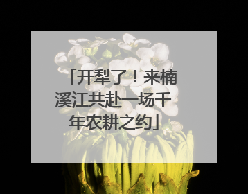 开犁了！来楠溪江共赴一场千年农耕之约