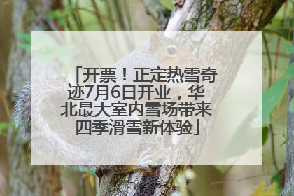 开票！正定热雪奇迹7月6日开业，华北最大室内雪场带来四季滑雪新体验