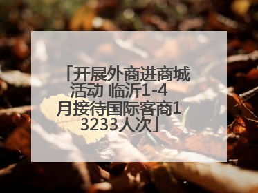 开展外商进商城活动 临沂1-4月接待国际客商13233人次
