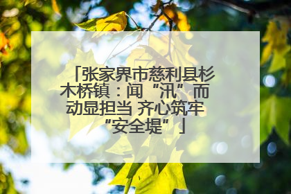张家界市慈利县杉木桥镇：闻“汛”而动显担当 齐心筑牢“安全堤”