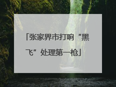 张家界市打响“黑飞”处理第一枪