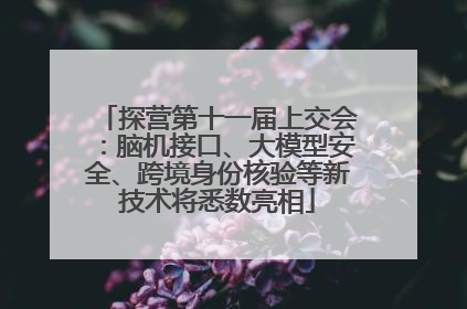 探营第十一届上交会：脑机接口、大模型安全、跨境身份核验等新技术将悉数亮相