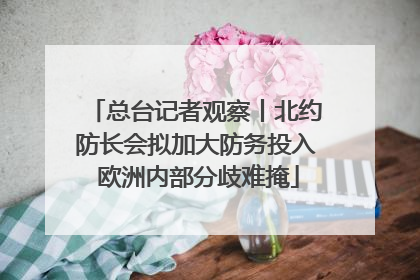 总台记者观察丨北约防长会拟加大防务投入 欧洲内部分歧难掩
