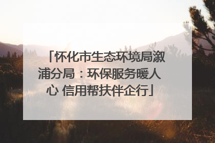 怀化市生态环境局溆浦分局：环保服务暖人心 信用帮扶伴企行