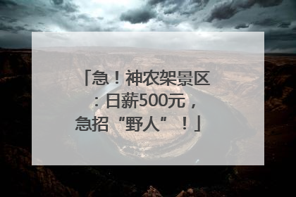 急！神农架景区：日薪500元，急招“野人”！
